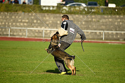 Farello vom Hilsblick