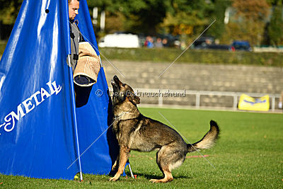 Farello vom Hilsblick