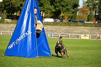 Farello vom Hilsblick