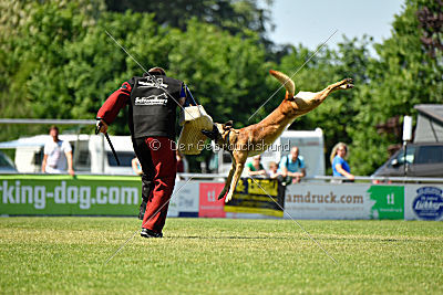 Faros vom Haus Mecki