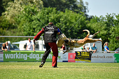 Faros vom Haus Mecki