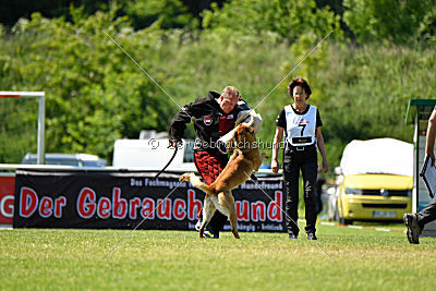 Faros vom Haus Mecki