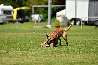 Faros vom Haus Mecki