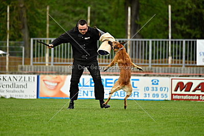 Faros vom Haus Mecki