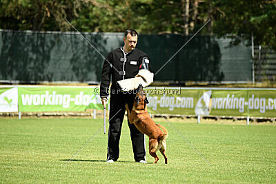 Farun des chiens de travail