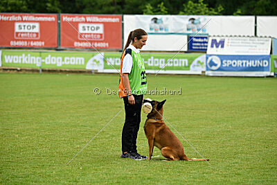 Farun des chiens de travail
