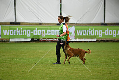 Farun des chiens de travail