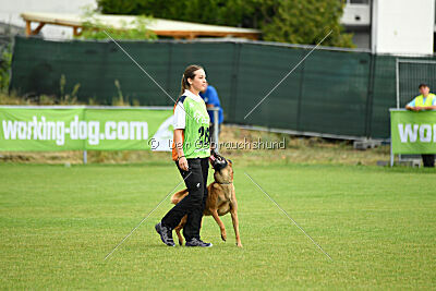 Farun des chiens de travail