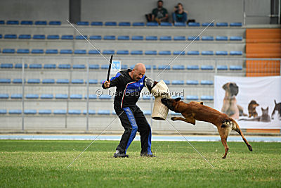 Felix vom blauen Mistral