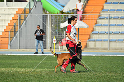 Felix vom blauen Mistral