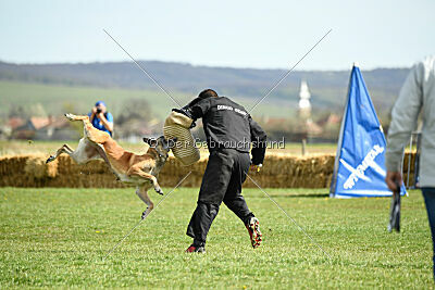 Femy vom schnellen Falken