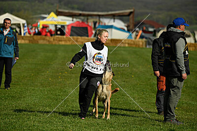Femy vom schnellen Falken