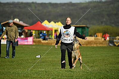 Femy vom schnellen Falken