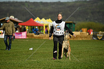 Femy vom schnellen Falken