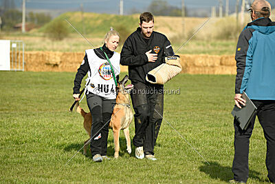 Femy vom schnellen Falken
