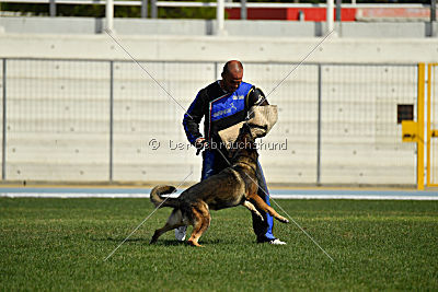 Feniks vom Haus Pixner