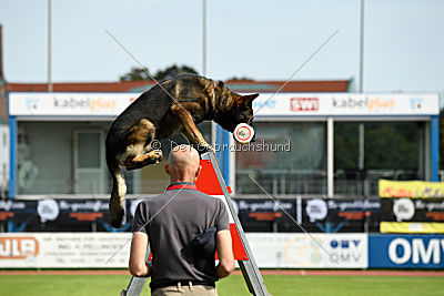 Feniks vom Haus Pixner