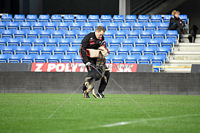 Fenix von der Eisspitzen