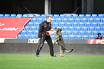 Fenix von der Eisspitzen