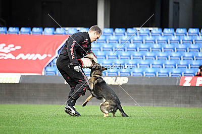 Fenix von der Eisspitzen