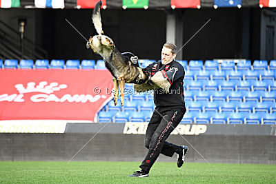Fenix von der Eisspitzen