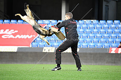 Fenix von der Eisspitzen