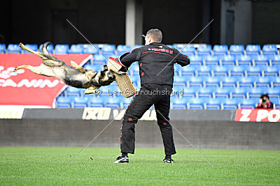 Fenix von der Eisspitzen