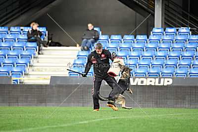 Fenix von der Eisspitzen