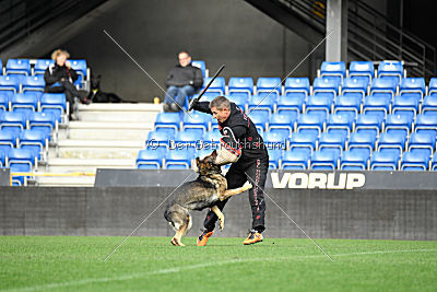 Fenix von der Eisspitzen