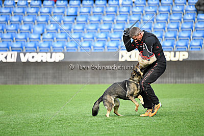 Fenix von der Eisspitzen