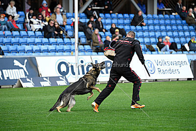 Fenix von der Eisspitzen