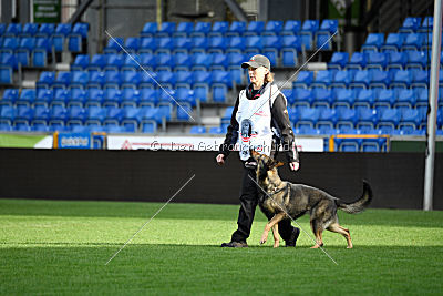 Fenix von der Eisspitzen