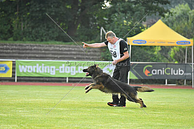 Fero von den Weggefährten