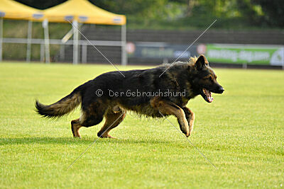 Fero von den Weggefährten