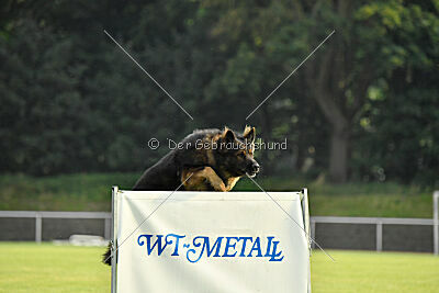 Fero von den Weggefährten