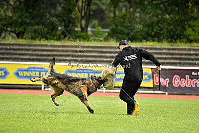 Fero von den Weggefährten