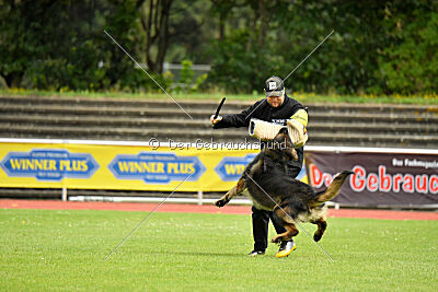 Fero von den Weggefährten