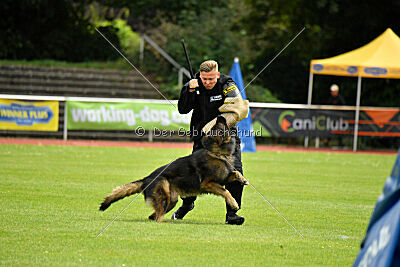 Fero von den Weggefährten