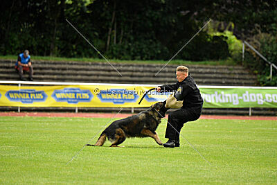 Fero von den Weggefährten