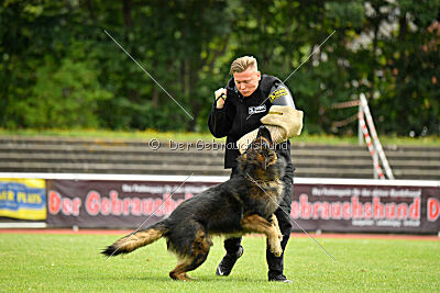 Fero von den Weggefährten