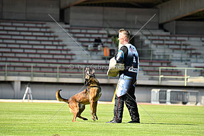 Ferro vom blauen Mistral