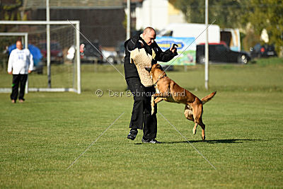 Fiasko vom Haus Mecki