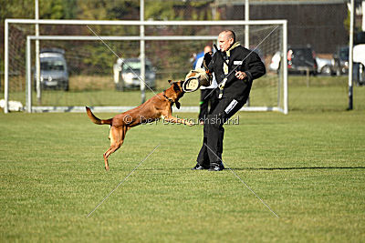 Fiasko vom Haus Mecki