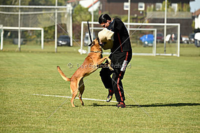 Fiasko vom Haus Mecki