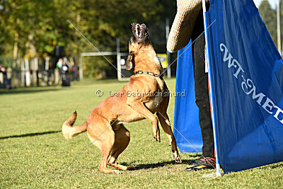 Fiasko vom Haus Mecki