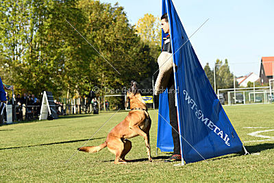 Fiasko vom Haus Mecki