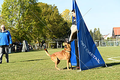 Fiasko vom Haus Mecki