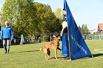 Fiasko vom Haus Mecki
