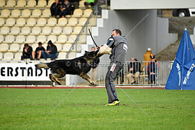 Fight von der Weißen Elster