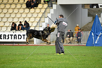 Fight von der Weißen Elster